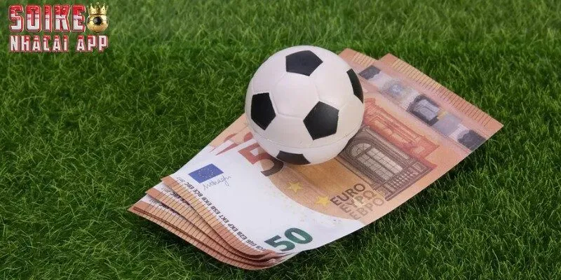 Lý do nên tuân thủ tuyệt đối chính sách điều khoản?