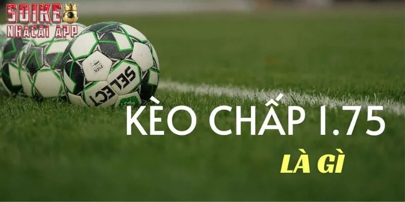 Kèo chấp 1.75 rất phổ biến trong cá cược bóng đá