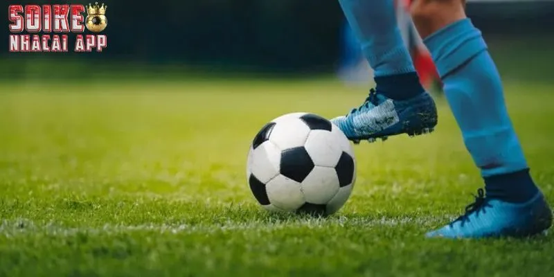 Chuyên mục sẽ mang đến cho bạn những nhận định hữu ích