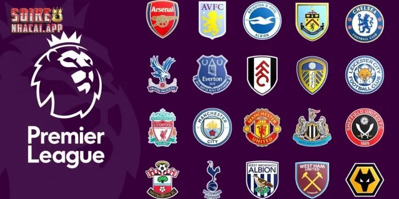 Nên soi keo nha cai trước khi đặt cược