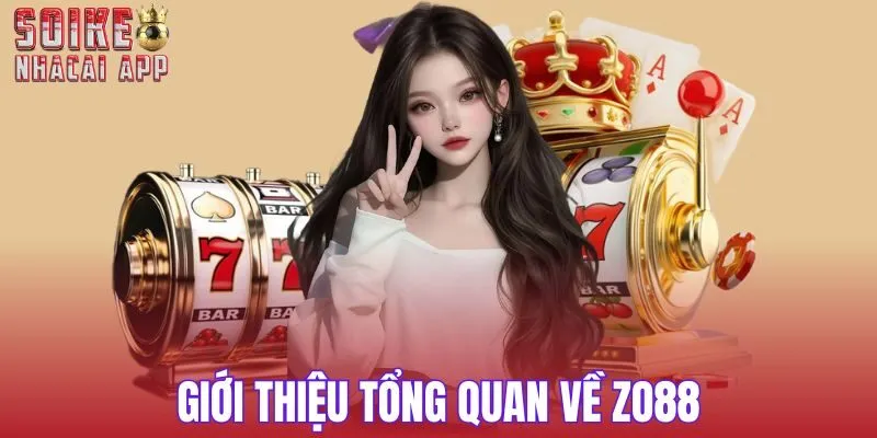 Đôi nét thông tin giới thiệu tổng quan về thương hiệu Zo88