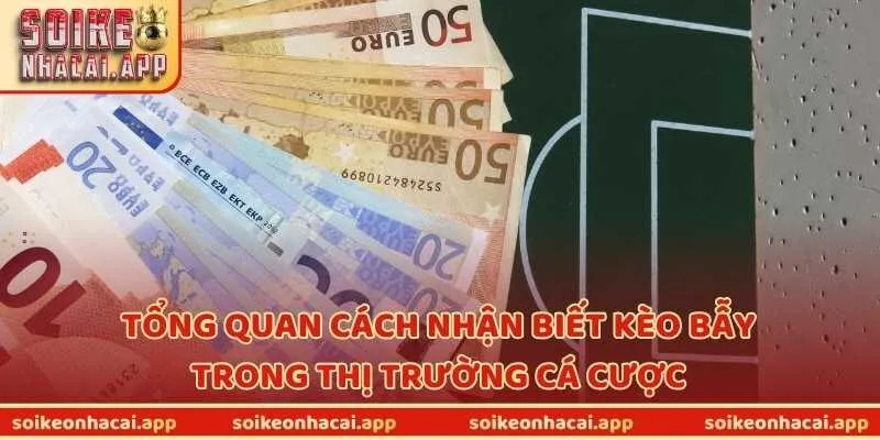 Tổng quan cách nhận biết kèo bẫy trong thị trường cá cược