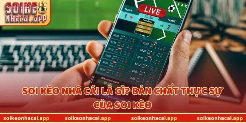 Soi kèo nhà cái là gì? Bản chất thực sự của soi kèo
