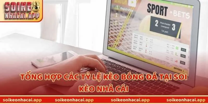 Tổng hợp các tỷ lệ kèo bóng đá tại soi kèo nhà cái