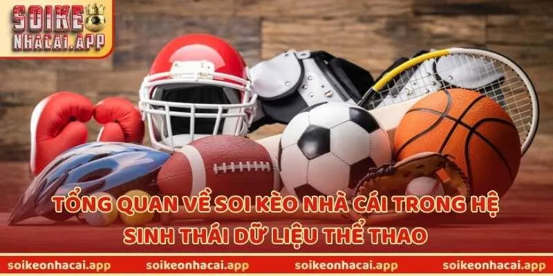 Tổng quan về Soi Kèo Nhà Cái trong hệ sinh thái dữ liệu thể thao